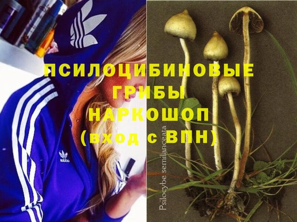 спайс Армянск